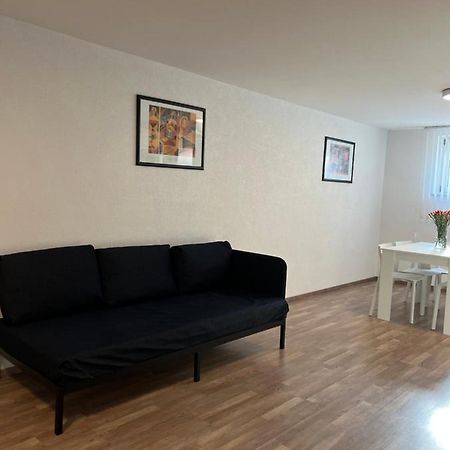 Fewo Haus 4 Lahr (Baden-Wurttemberg) Exterior foto